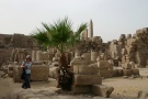 Debbie, Karnak Temple